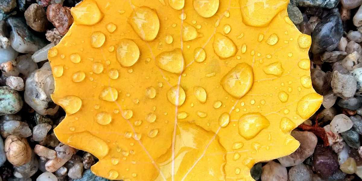 Content Recycling Done Right